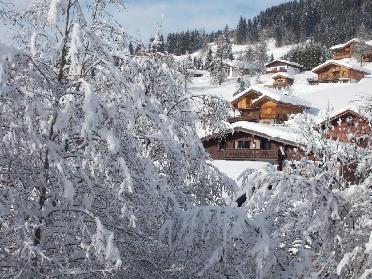 Chalet Jonquille Les Gets Exterior photo